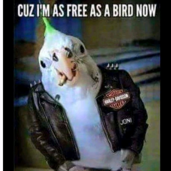 Meet your Posher, Michele - Picture 1 of 1